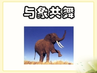 《与象共舞》教学课件1