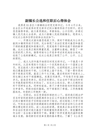 副镇长公选和任职后体会心得