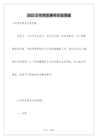 2024公司突发事件应急预案