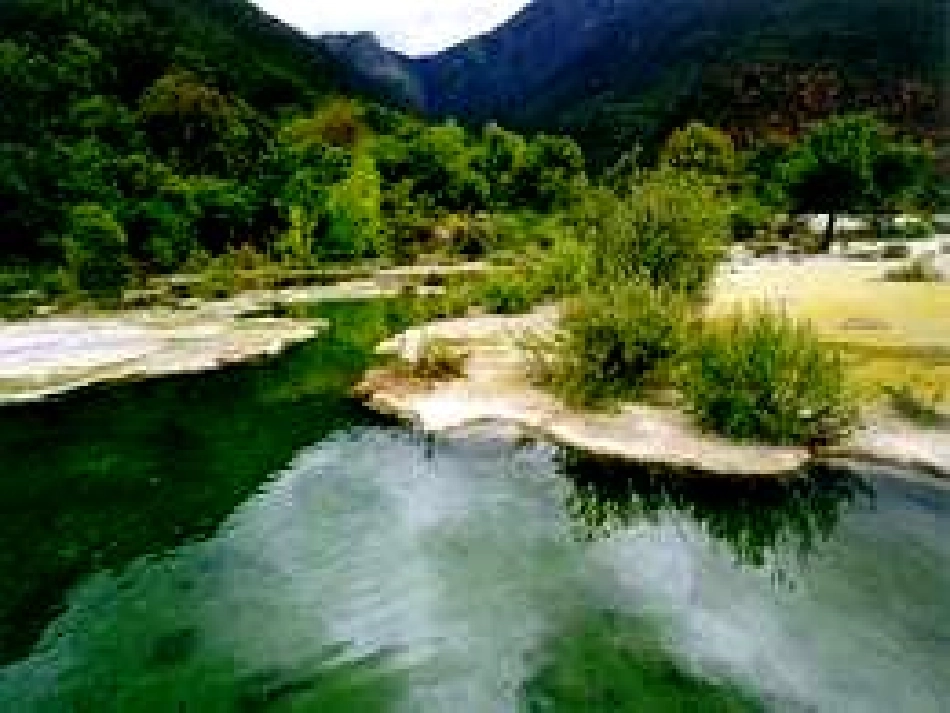 几种常见的统计图表_第2页