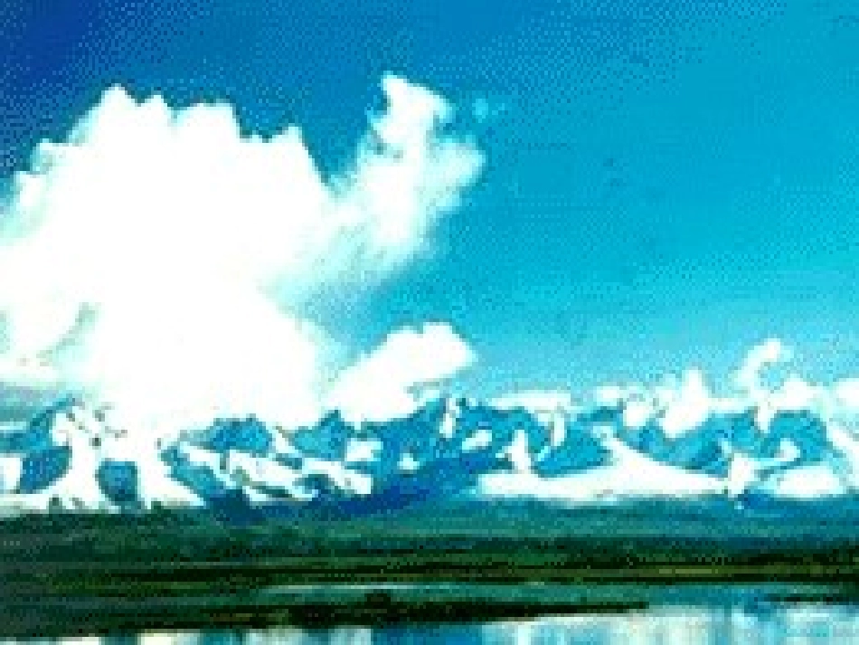 几种常见的统计图表_第3页