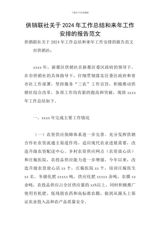 供销联社关于2024年工作总结和来年工作安排的报告范文