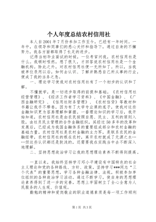 个人年度总结农村信用社 