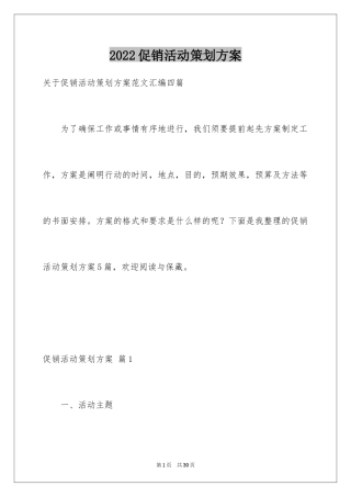 2024促销活动策划方案_17