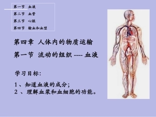 流动的组织血液人教版七年级下册生物课件