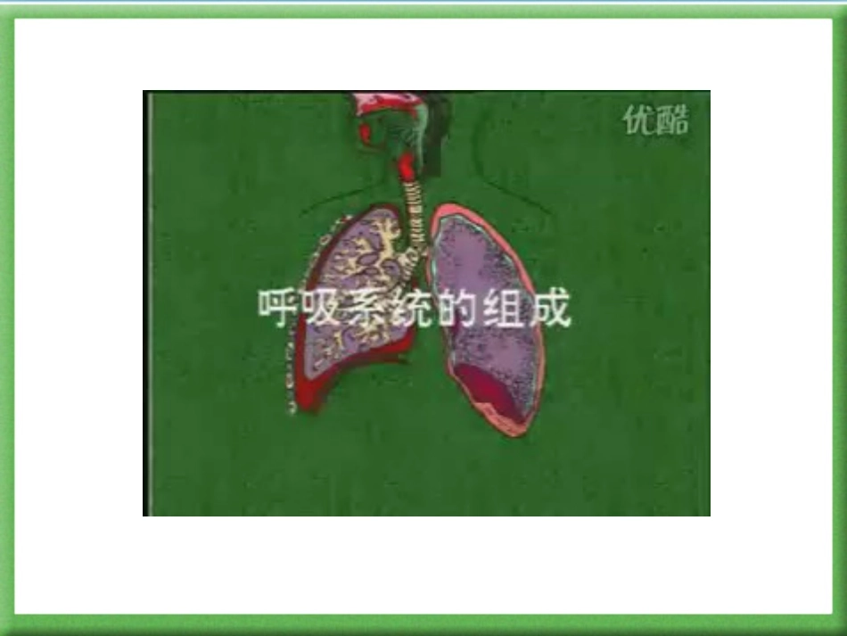 人体的呼吸PPT_第2页