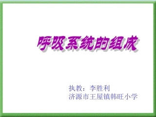 人体的呼吸PPT