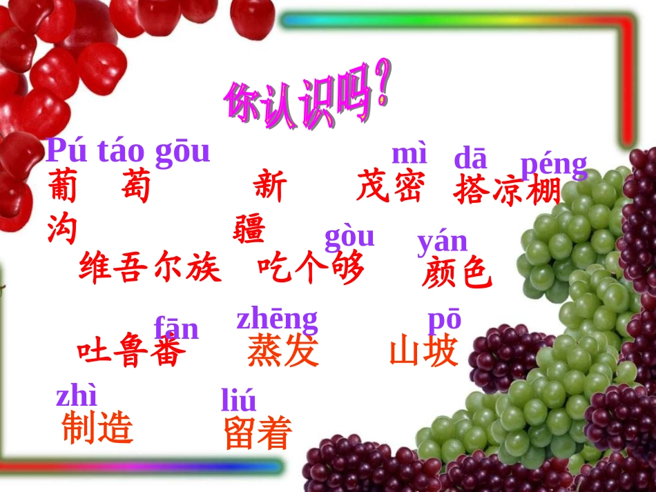 人教版二年级语文下册第10课《葡萄沟》PPT课件_第2页