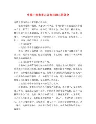 乡镇干部市委办公室挂职心得体会 