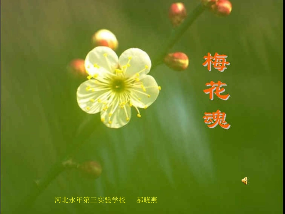 梅花魂 (2)_第1页