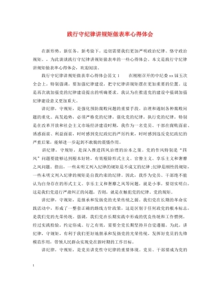 践行守纪律讲规矩做表率心得体会 