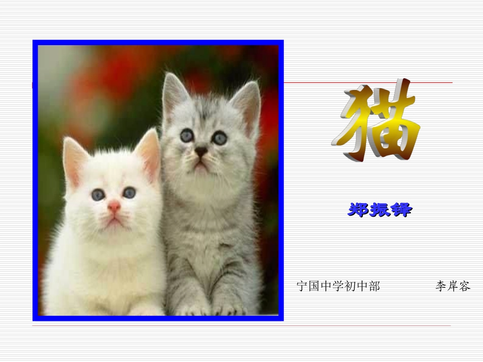 《猫》江锦旗_第1页