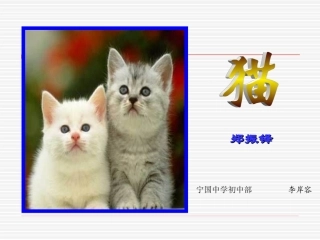 《猫》江锦旗
