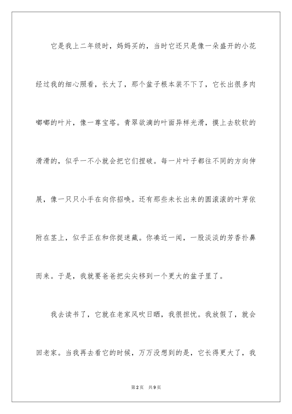 2024多肉植物作文_14_第2页