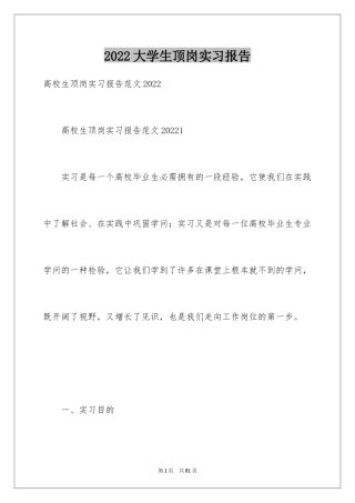 2024大学生顶岗实习报告_10
