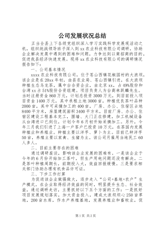 公司发展状况总结 