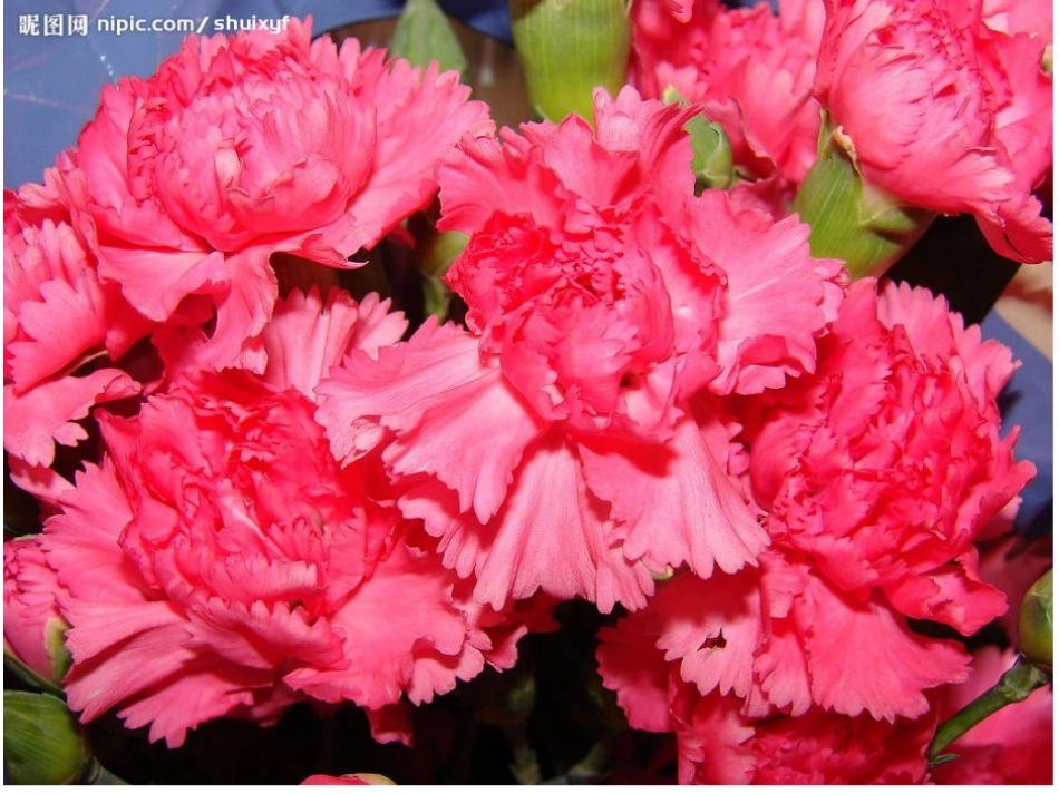 《花团锦簇》课件_第2页