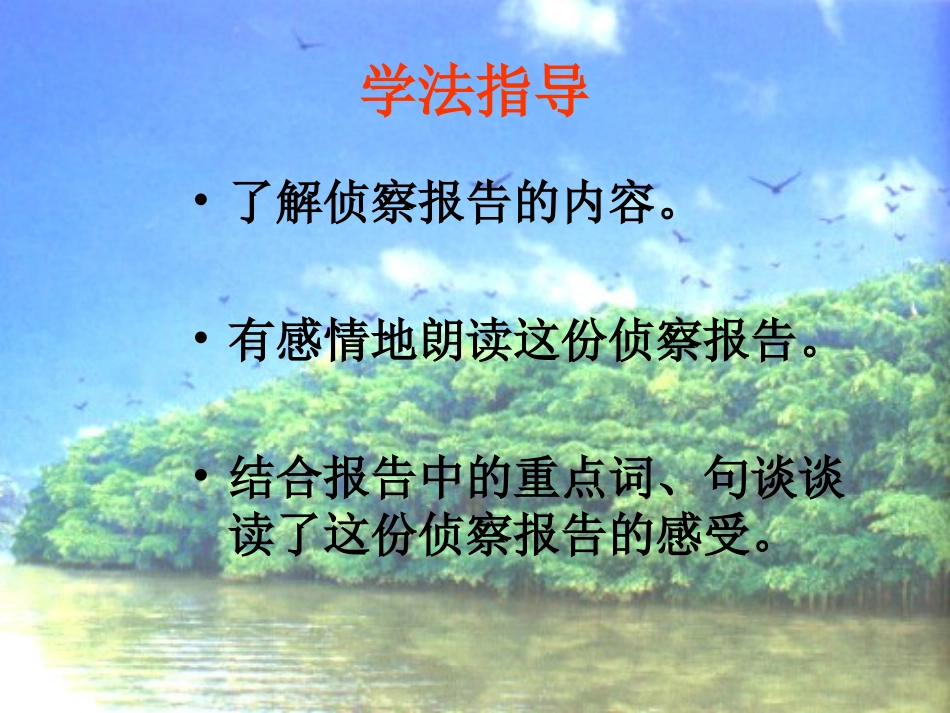 鸟儿的侦察报告课件2_第3页