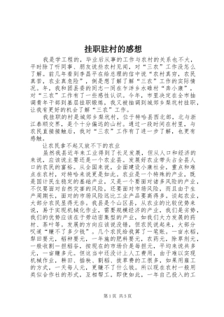 挂职驻村的感想
