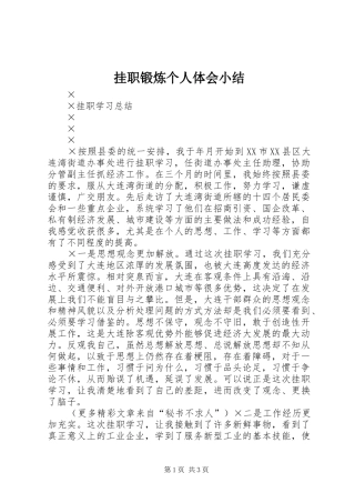 挂职锻炼个人体会小结