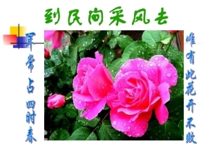 《到民间采风去》11