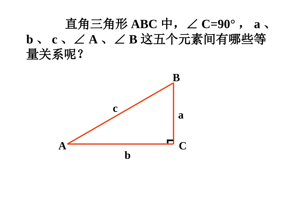 282解直角三角形1_第2页