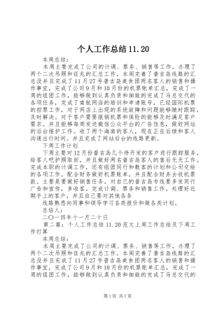 个人工作总结11.20