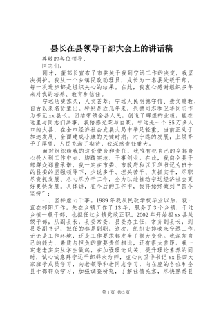 县长在县领导干部大会上的讲话发言稿