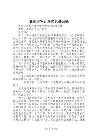襄阳市审计局局长的讲话发言稿