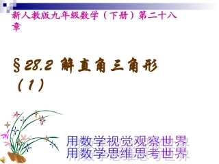 人教新课标九年级下----解直角三角形(1)课件