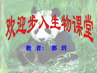 神奇的微生物