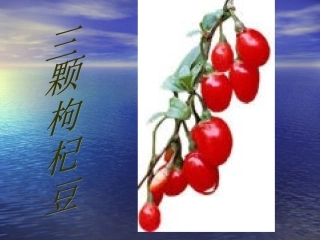 《三颗枸杞豆》课件2