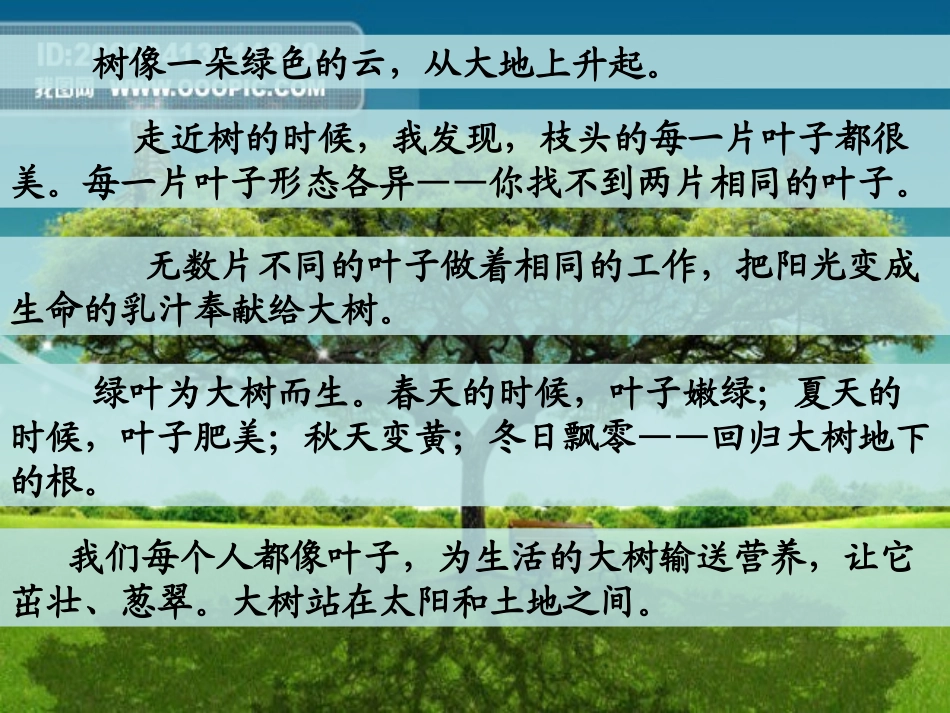 苏教版三上做一片美的叶子_第2页