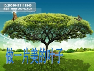 苏教版三上做一片美的叶子