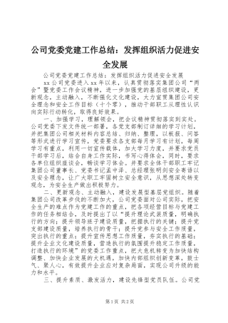 公司党委党建工作总结：发挥组织活力促进安全发展 