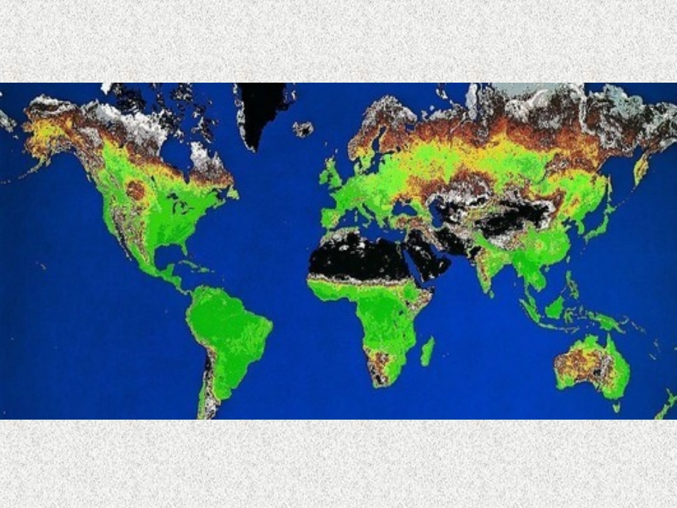 海底世界课件 (2)_第1页