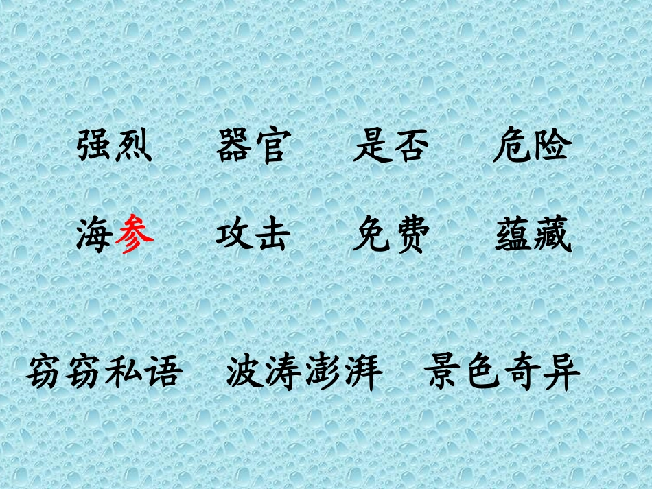 海底世界课件 (2)_第3页