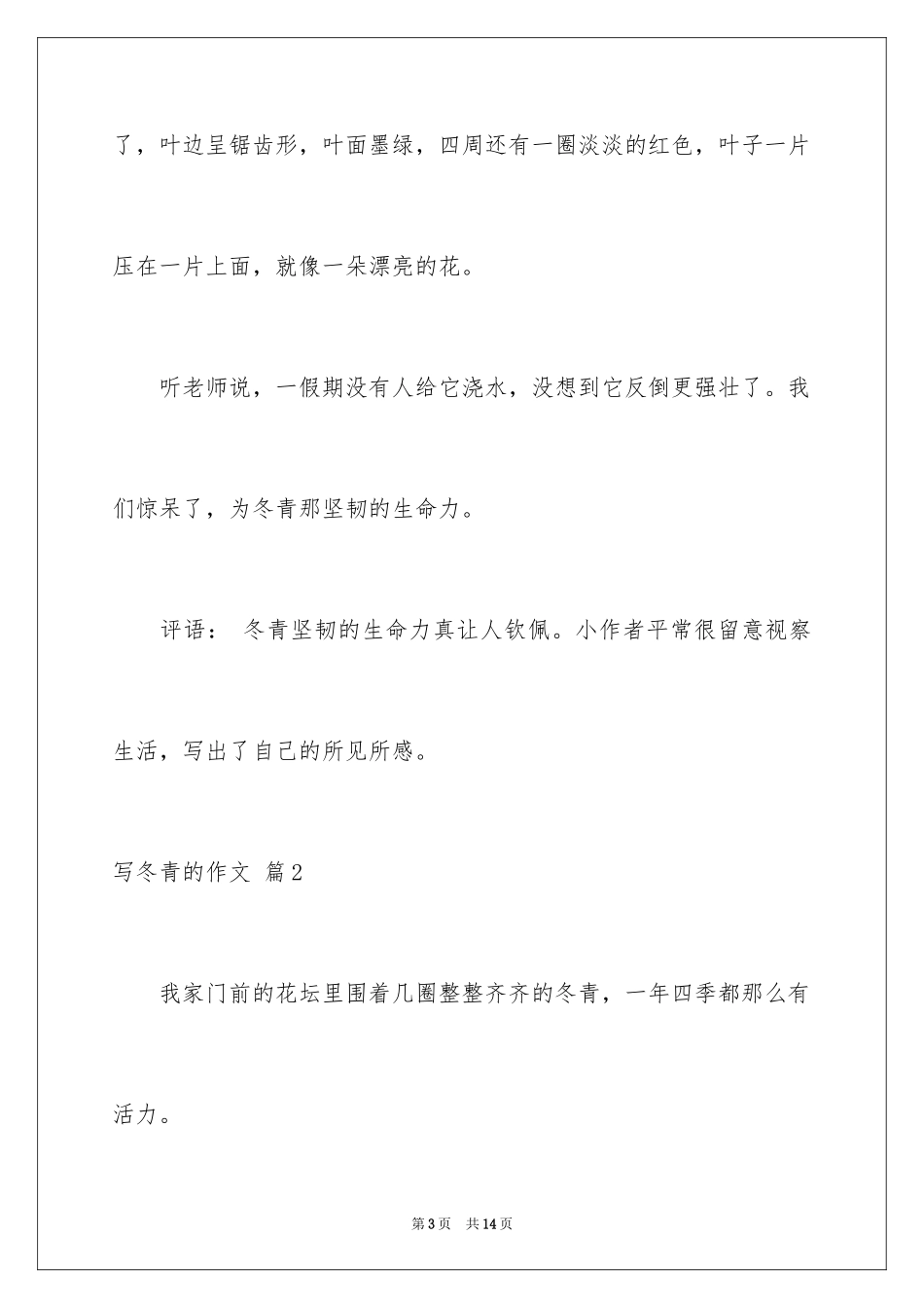 2024写冬青的作文_29_第3页