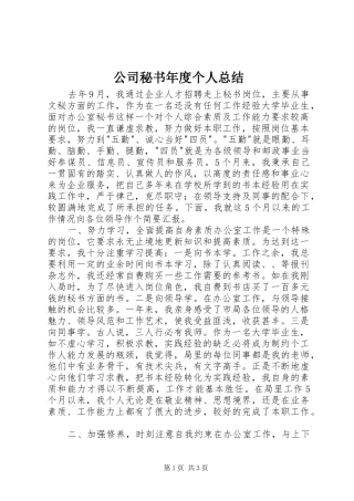 公司秘书年度个人总结 