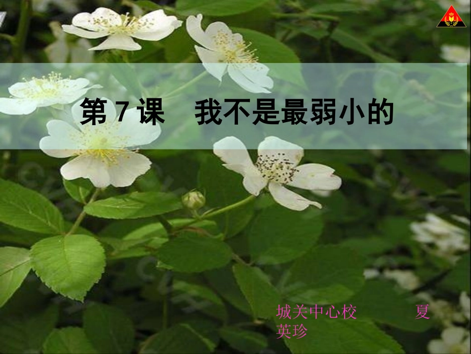 7我不是最弱小的_第1页