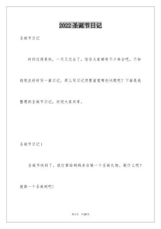 2024圣诞节日记_19