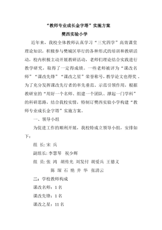 樊西实小教师专业成长实施方案