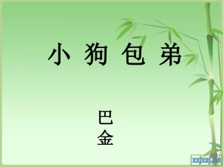 小狗包弟上课课件