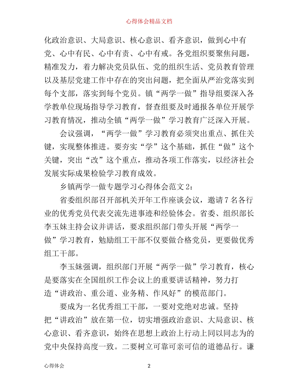 乡镇两学一做专题学习心得体会6篇_第2页