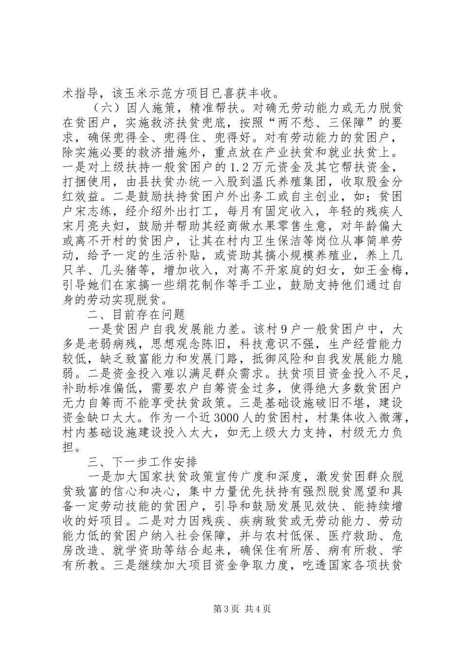 关于村精准扶贫工作总结 _第3页