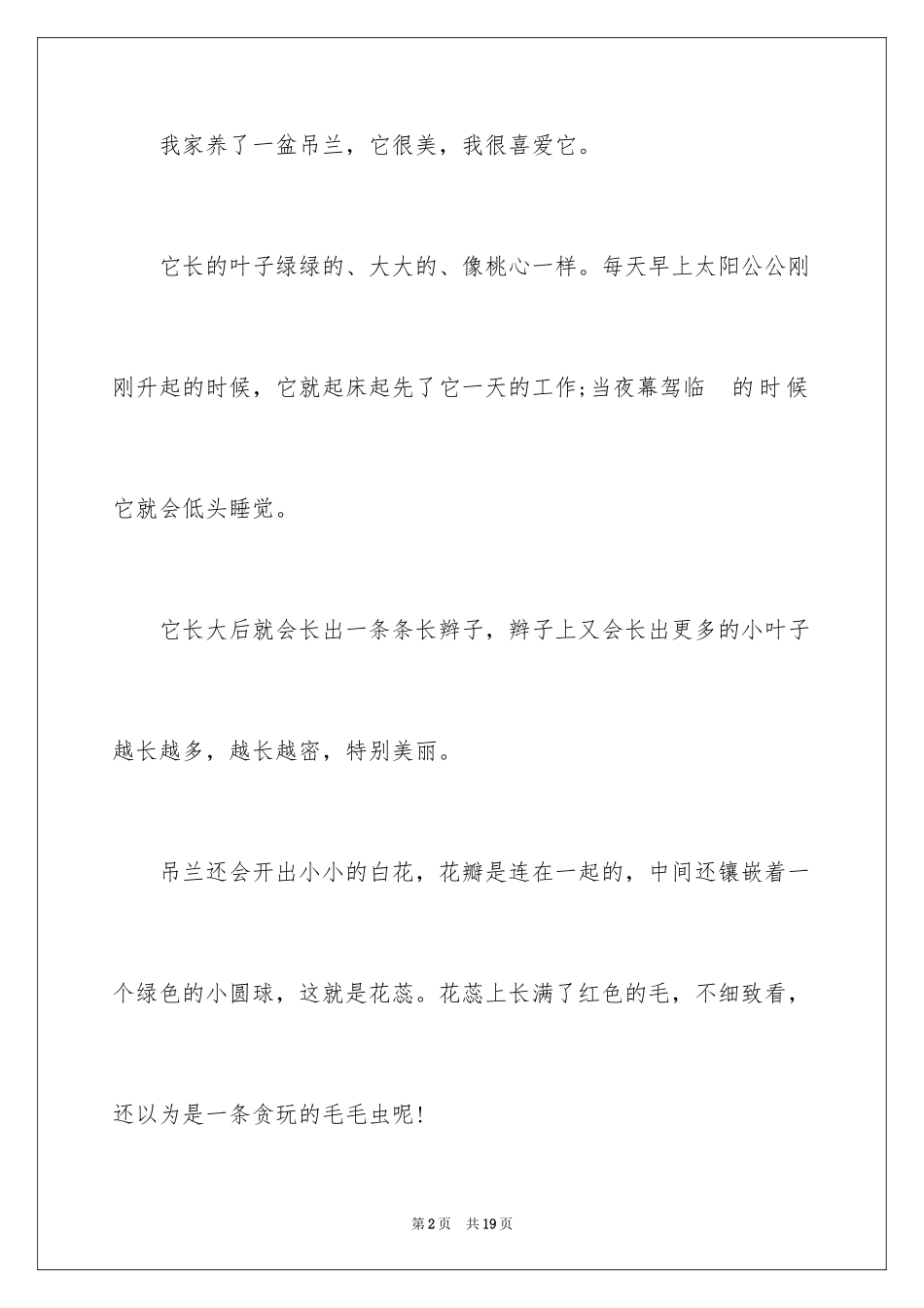 2024吊兰说明文_1_第2页