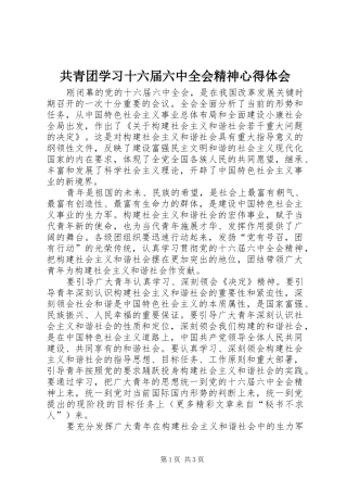 共青团学习十六届六中全会精神体会心得