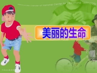 三年级下册品德与生活美丽的生命课件