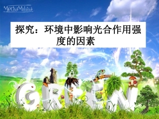 探究：环境中影响光合作用强度的因素
