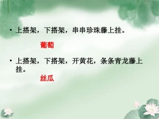 爬山虎的脚课件